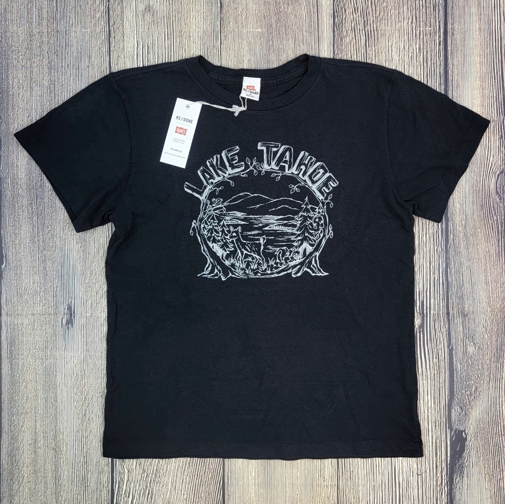 Re/Done x Hanes NWT Lake Tahoe Classic Tee - Picture 2 of 10